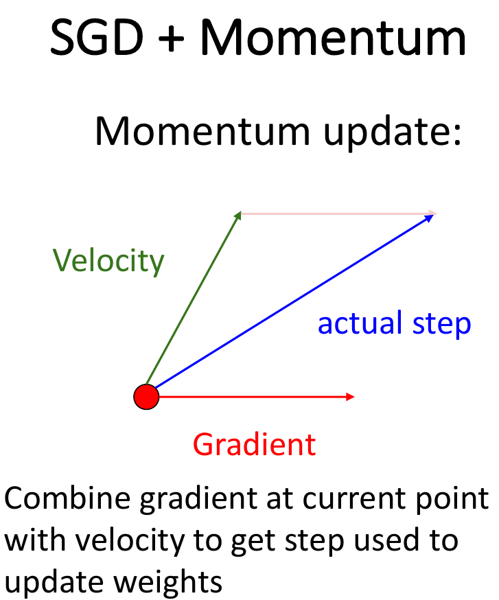 SGD with Momentum
