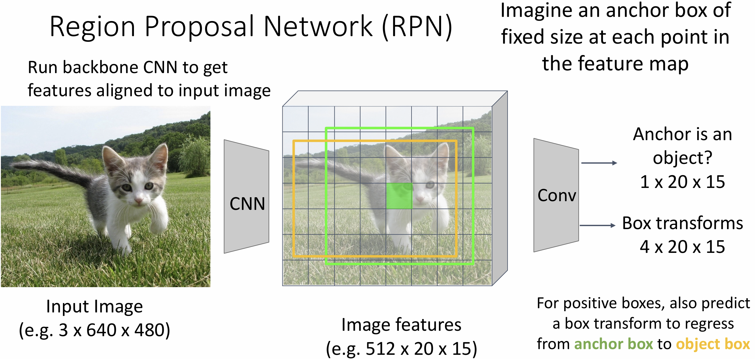 Region Proposal Network